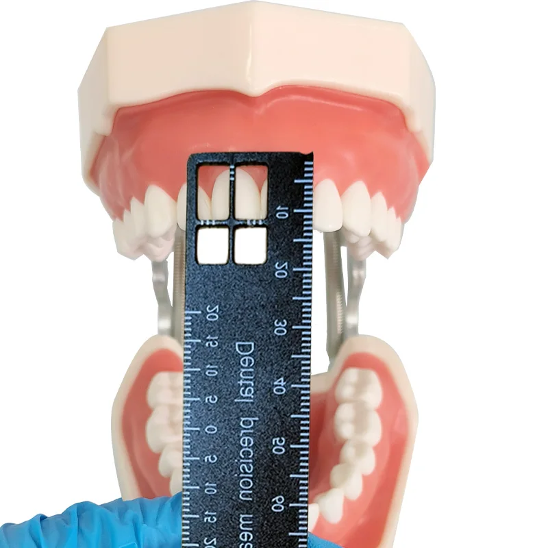 Regla de medición de dientes d - Photography Rules reseña y precio